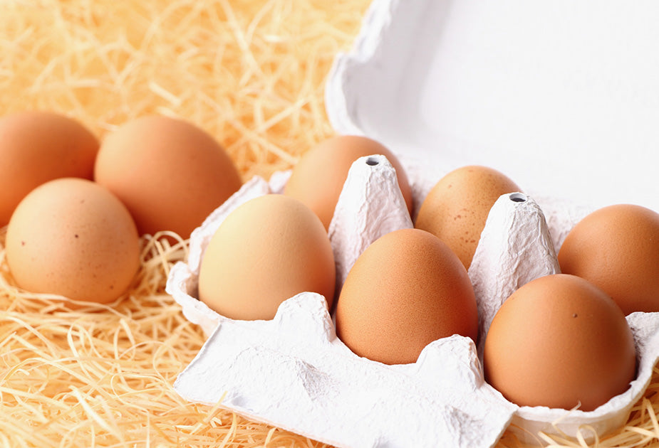 Ugg Express Launches Sub-Brand Egg Express