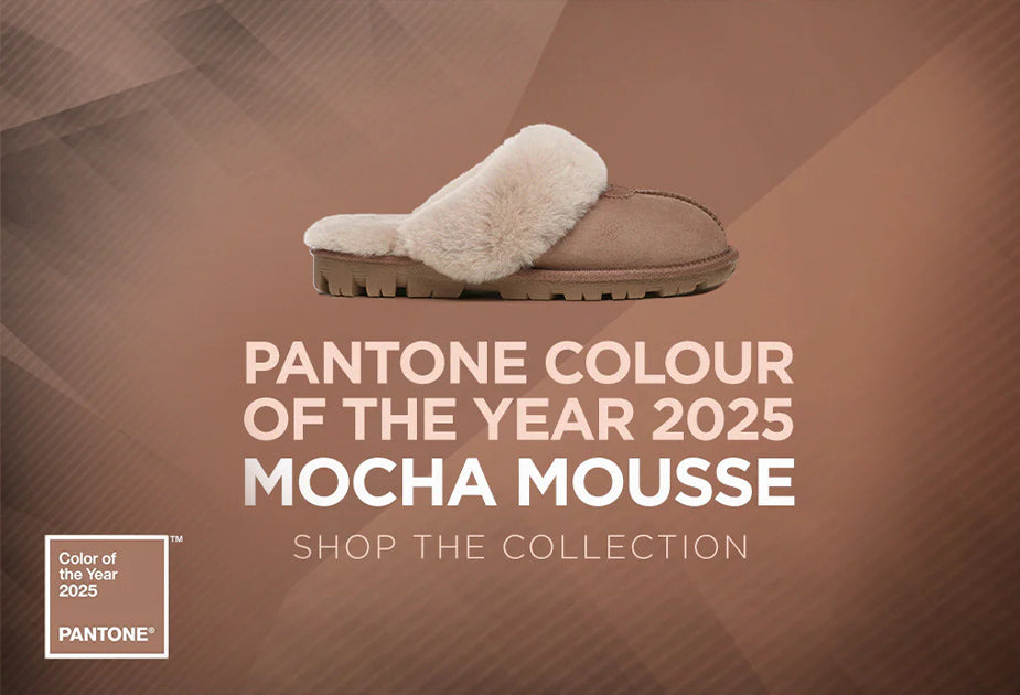 Pantone Colour of the year 2025 Mocha Mousse