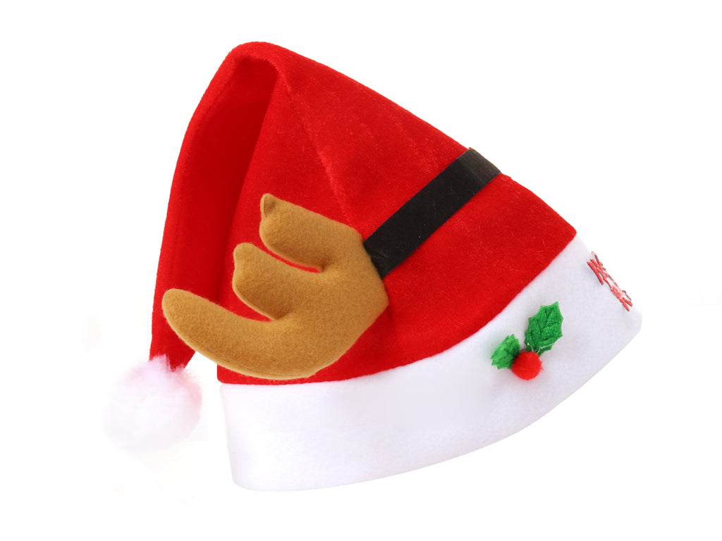 Accessories - Christmas Santa Hats